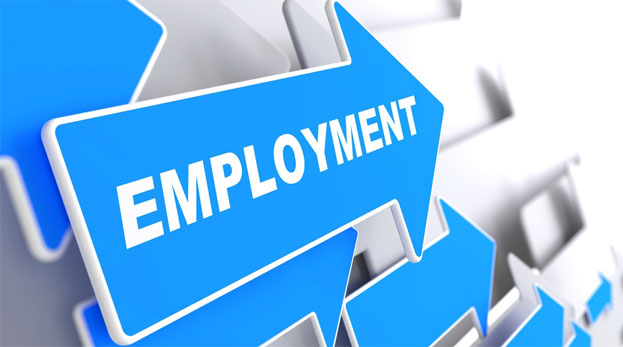 Recognise employment as essential for development - The Sunday Guardian Live