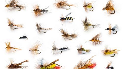 Flies used for fishing